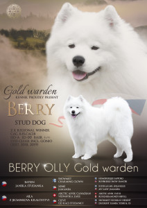 berry2