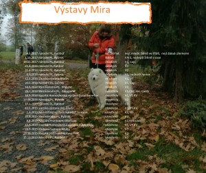 Mira výstava obrázek