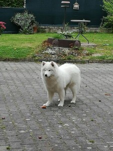 Bella 10-21-5